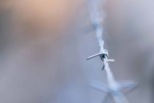 Pourquoi utiliser une huile à barbe ?